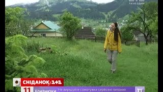 видео Что посмотреть в Яремче. Карпаты Горы Водопады.