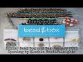 Dollar Bead Box and Bag January 2021 Opening