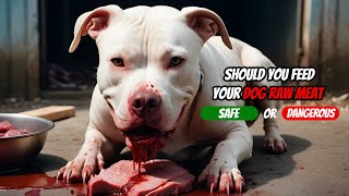 The Reality Of Feeding Dogs Raw Meat | Eye-Opening Facts