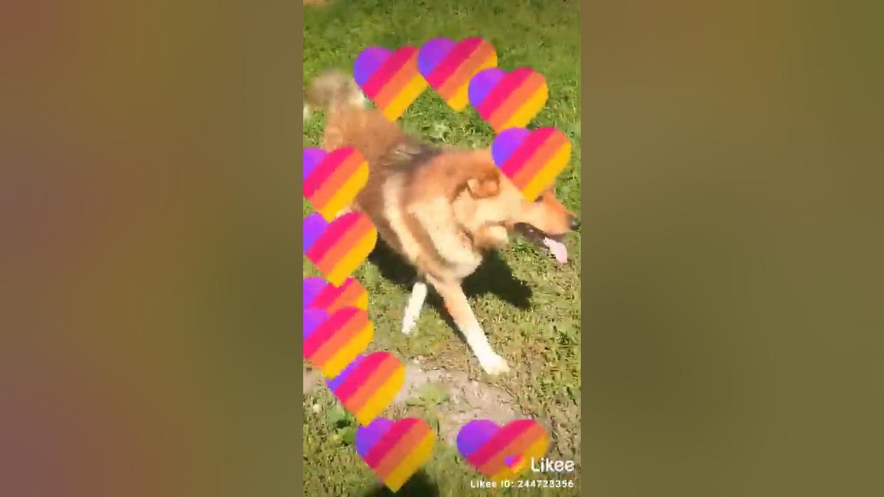 Грей!!!!!! - YouTube