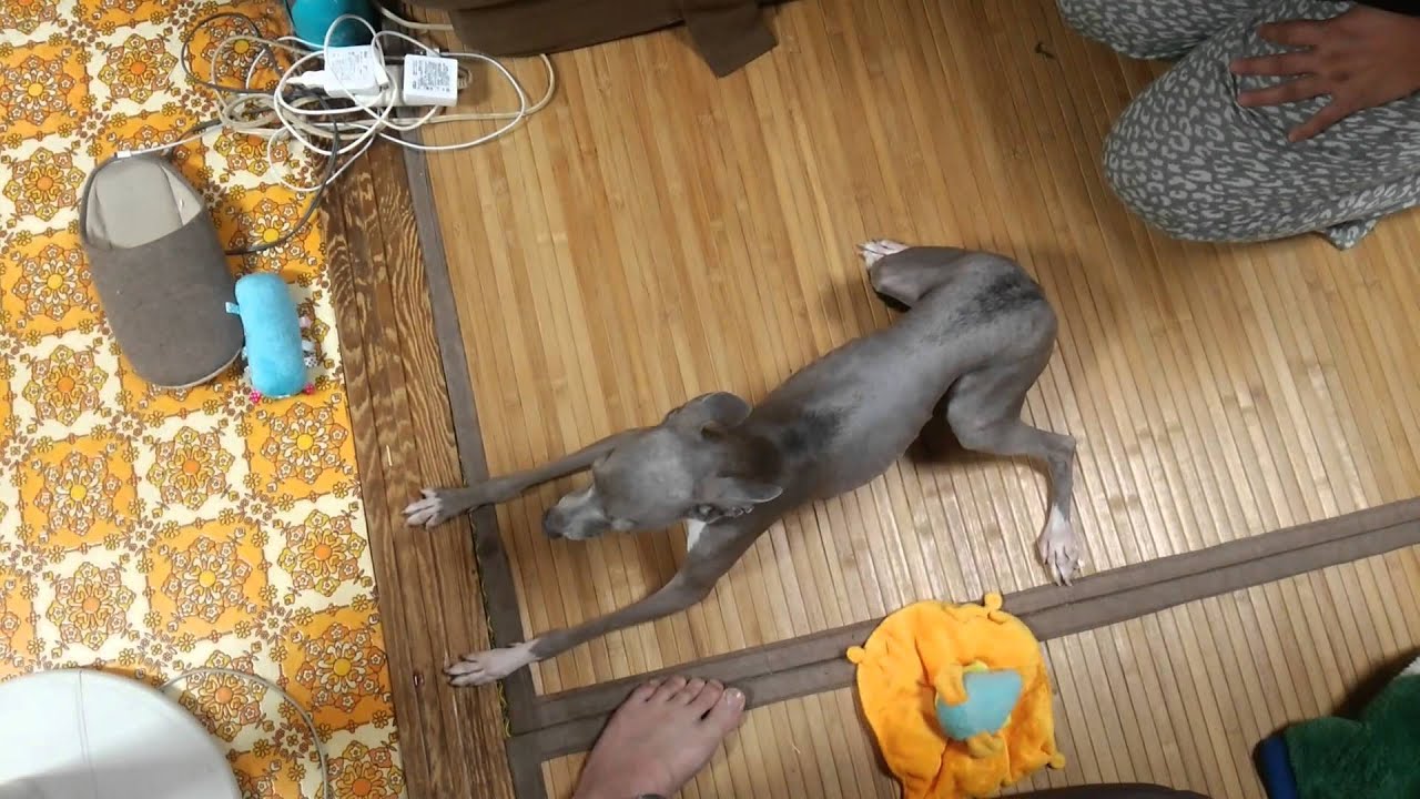 あっしゅてんかん発作　2015/05/16　①