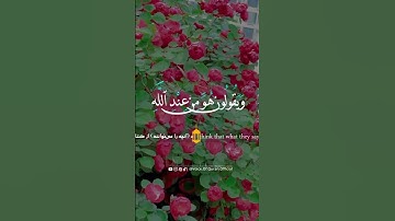 سوره ال عمران ایه 78 چرا صبر و توکل بر خداوند مهم است؟
