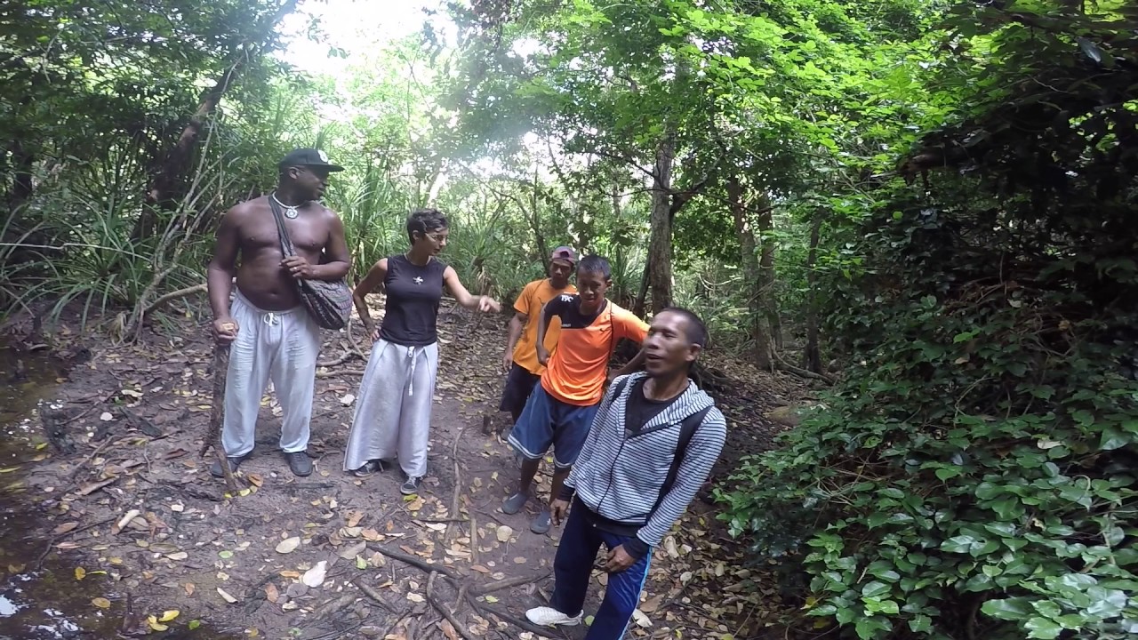 Jungle trekking in Redang Island part 1 - YouTube