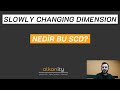 Slowly Changing Dimension Nedir?