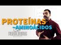 Protenas  aminocidos  fabiano matos biologia