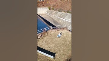 The beast behind the electric skateboard tech!! Introduction to VESC