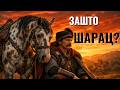 Zasto se konj Marka Kraljevica zvao Sarac?