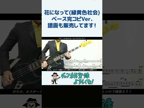 花になって(緑黄色社会)ベース完コピVer.（薬屋のひとりごと 長屋晴子 穴見真吾 アニソン アニメソング Bass TAB譜 楽譜 エレキベース 弾いてみた リョクシャカ）#shorts