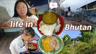 Daily vlog ~ life in Bhutan 🌿|| 💦 watering my chilli plant ☘️ ( 🌷 slow & productive day )