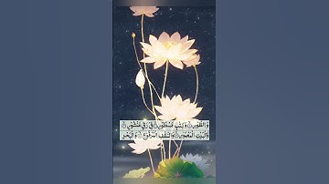 تلاوة خاشعة مؤثرة من سورة الطور 📖 بصوت يلامس القلوب
