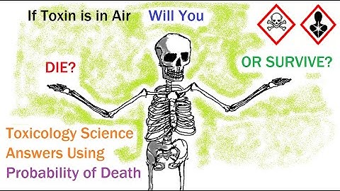 How to Estimate the Probability of Death After Inhalation of Air Contaminated by Toxic Substance?