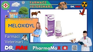 Meloxidyl Farmaco Veterinario A Cosa Serve ? - Foglietto Illustrativo Salute