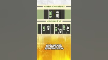 ⁉️Phân biệt các loại vạch kẻ đường  #daylaixebinhduong #meolaixe #lythuyet600cau