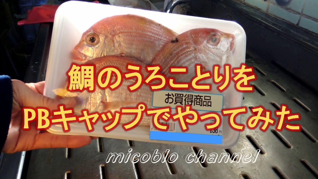 便利すぎ 魚のウロコ取りには ペットボトルのキャップ を使うべし 軽くて安全 お魚も傷つかないのだ Pouch ポーチ