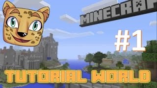 Let's Explore: Tutorial World #1