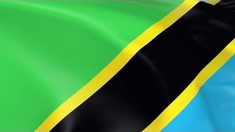 Tanzania Flag | Motion Graphics - Videohive template
