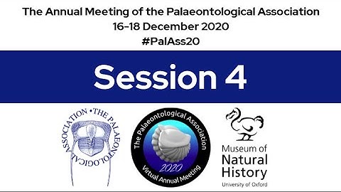 #PalAss20 Session 4
