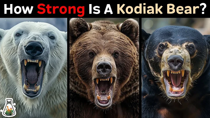 How Strong is a Kodiak Bear Compared to Other Bears