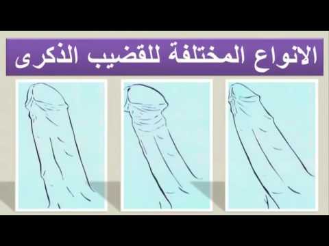 فيديو: كيفية اختيار قضيب