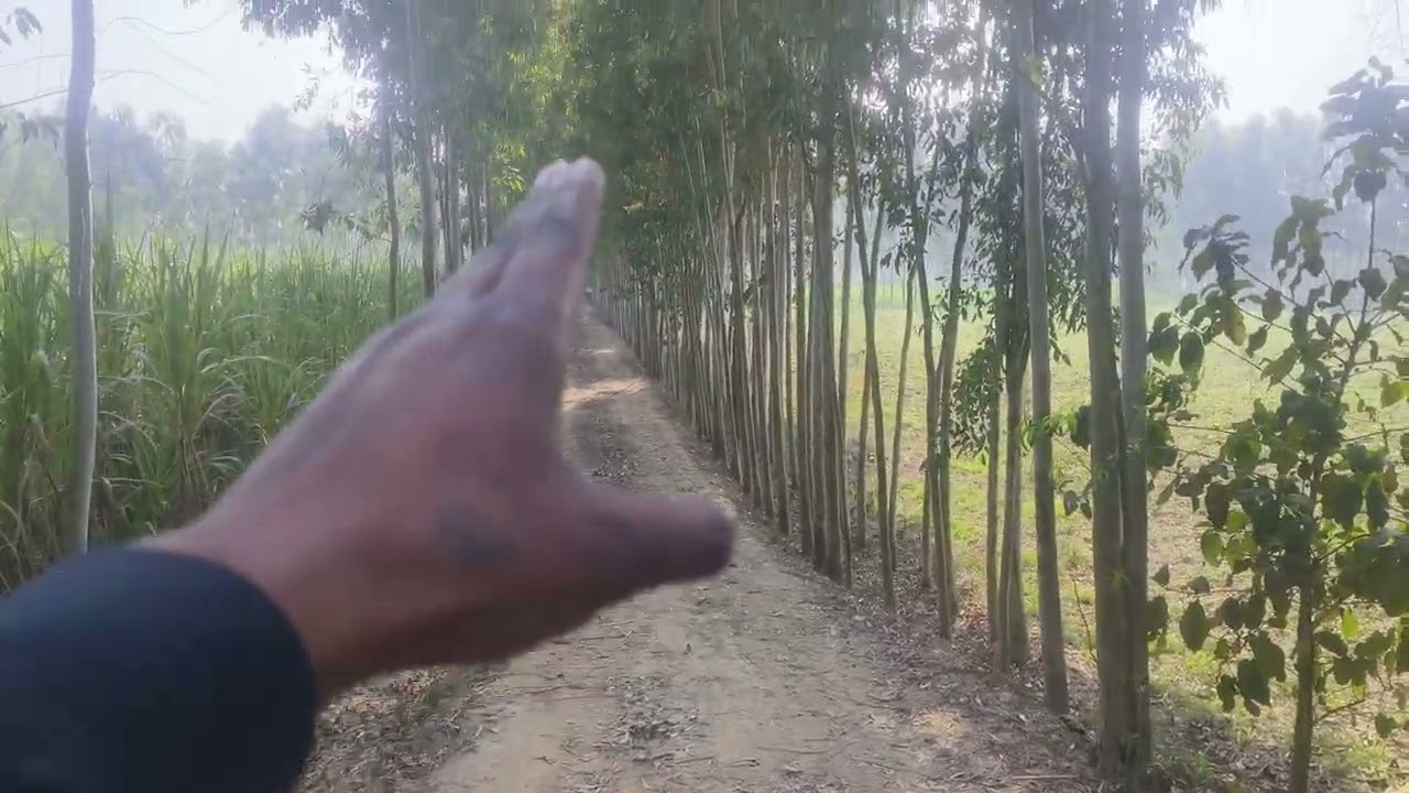 90 bigha jameen up agriculture.7452829463