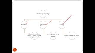 Morphological Typology of Languages