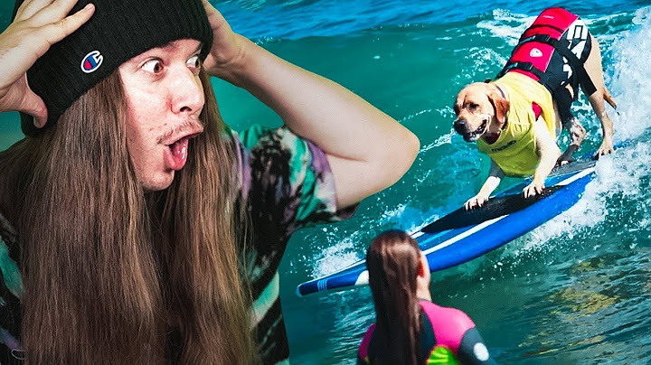 The CRAZIEST SPORTS You Never Knew Existed
