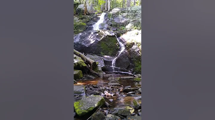 Walter Newton Natural Area (Rainbow Falls): Plymou...