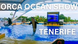 Full Spectacular Orca Ocean Show At Loro Parque 4K | Tenerife