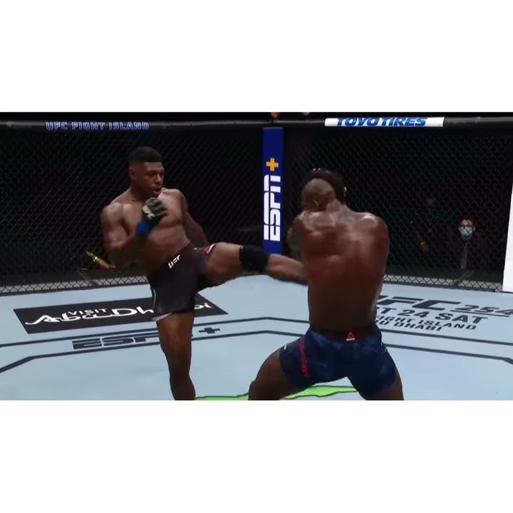 UFC Taekwondo 101