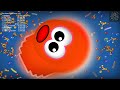 Worms zone  51m  score best kill ever world record top 01 pro never stop running play 2020