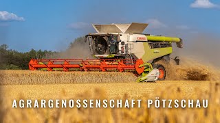 Die Getreideernte 2023 - Landwirtschaft - Agrargenossenschaft Pötzschau