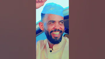 الفنان وحيد الباشا 