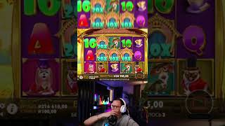 Не плохой у Сергея Темза The Dog House Royal Hunt #temza #sergeytemza