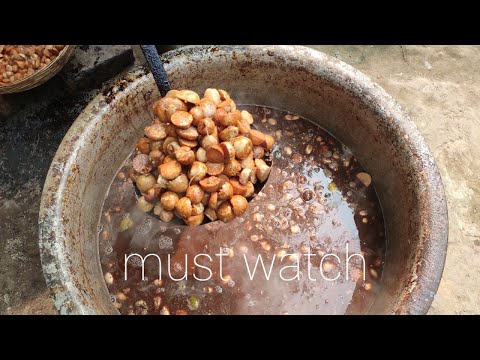 must watch Betel nut (tamul) cooking guys