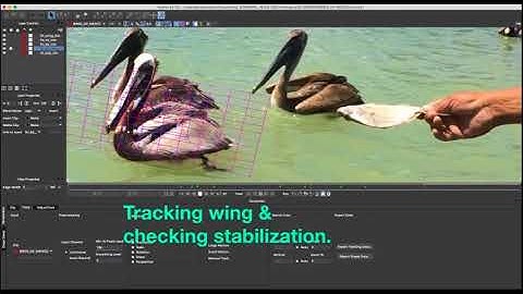 Creating an Alpha Rotoscope with After Effects Mocha
