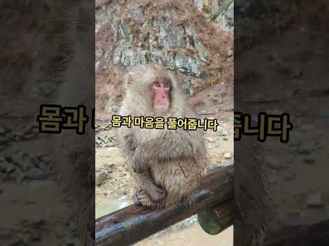 경북 온천 명소 TOP 10