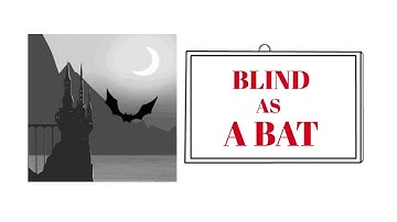 English Tutor Nick P Adjective Phrase (107) Blind as a Bat - Origin - Animated