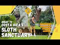 Ihap to the sloth sanctuary of costa rica