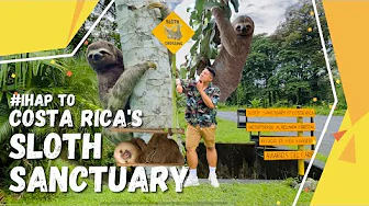 iHAP to the Sloth Sanctuary of Costa Rica