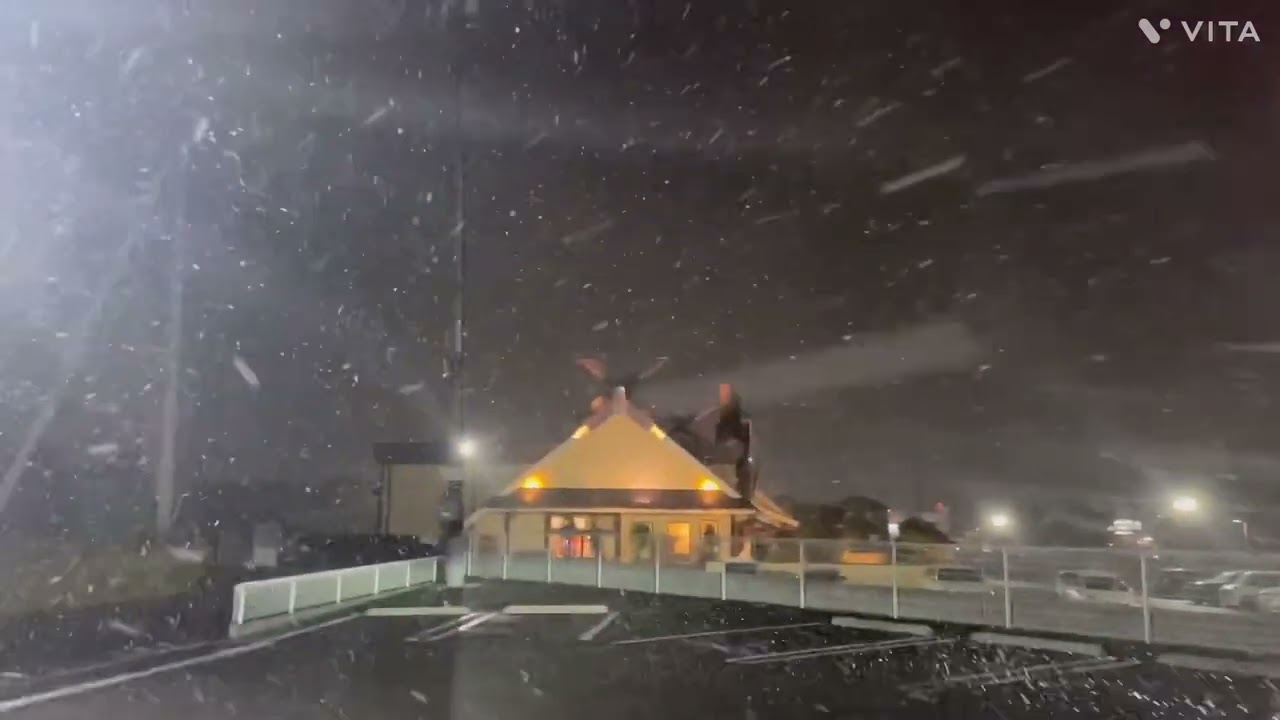 オーダー受付　パグ　雪の結晶　ご予約ページ　1/18 一番くじ雪ミク〜SNOW MIKU〜Third Season