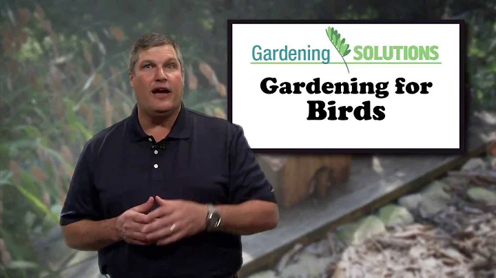 Gardening for Birds - Gardening For Birds