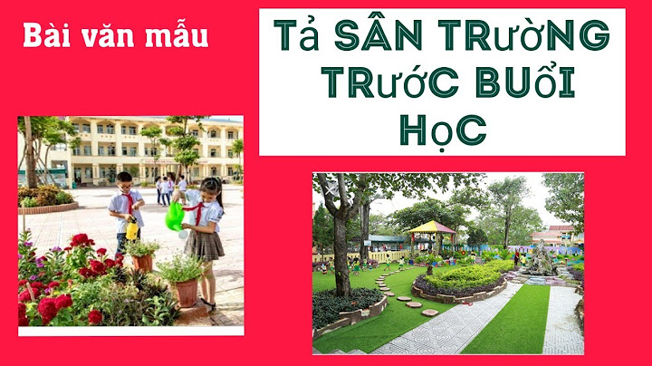 Bài văn tả cảnh sân trường em trước buổi học năm 2024