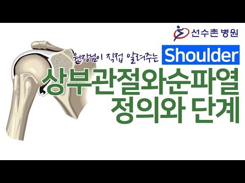 강릉정형외과 어깨관절와순파열 특징은? 6