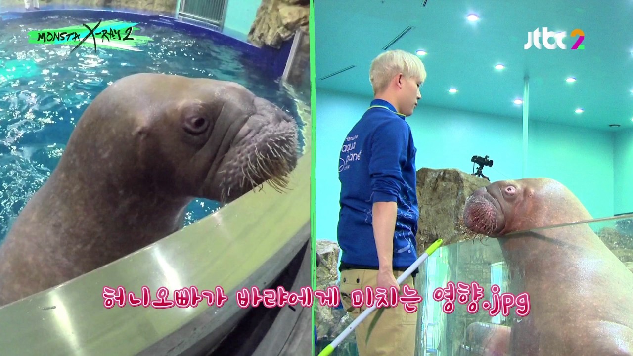 [몬스타엑스] 바랴, 메리에 인기 폭발한 허니오빠 (바랴 맘=몬베베 맘)