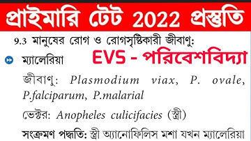 Primary TET Exam 2022 || Primary Tet 