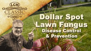 Dollar Spot Lawn Fungus | Disease Control and Prevention