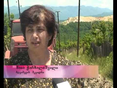 შხამიანი თიხა