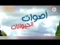 أصوات الحيوانات زئير الأسد قناة طيور الجنة