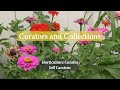 Horticulture curator jeff carstens  curators and collections