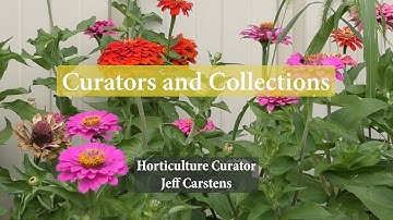 Horticulture Curator Jeff Carstens | Curators and Collections